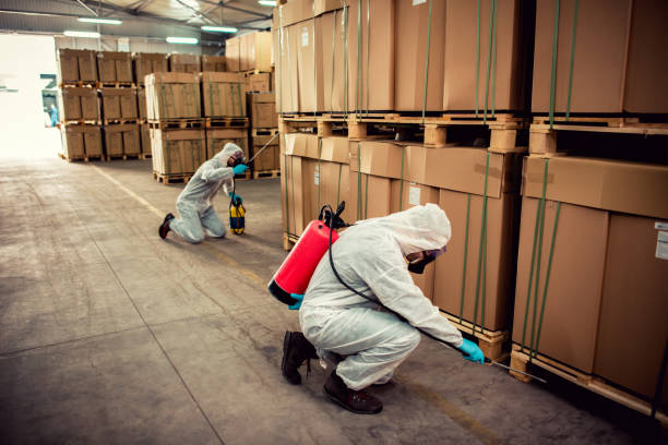 Best Affordable Pest Control Services  in Ashland, NJ