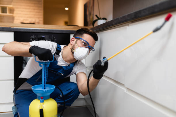 Best Affordable Pest Control Services  in Ashland, NJ
