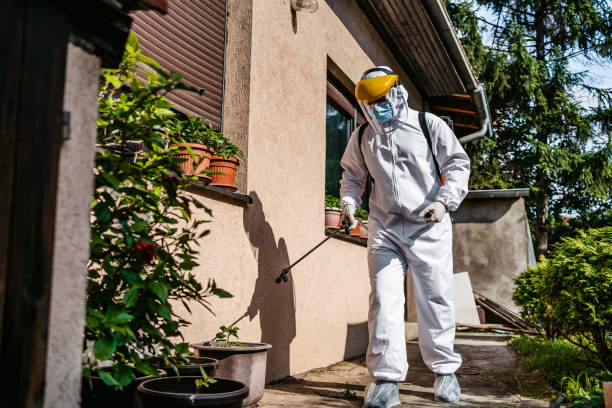 Pest Prevention Services in Ashland, NJ