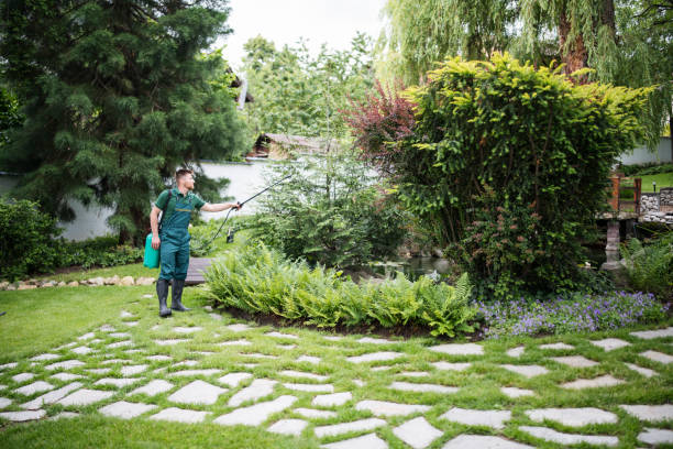 Best Insect Control  in Ashland, NJ
