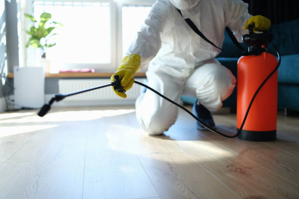 Best Insect Control  in Ashland, NJ
