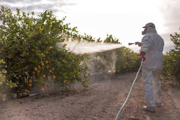 Trusted Ashland, NJ Pest Control Experts