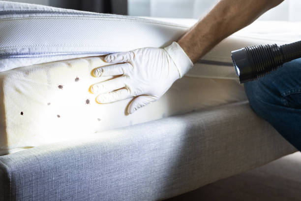 Best Pest Inspection Near Me  in Ashland, NJ