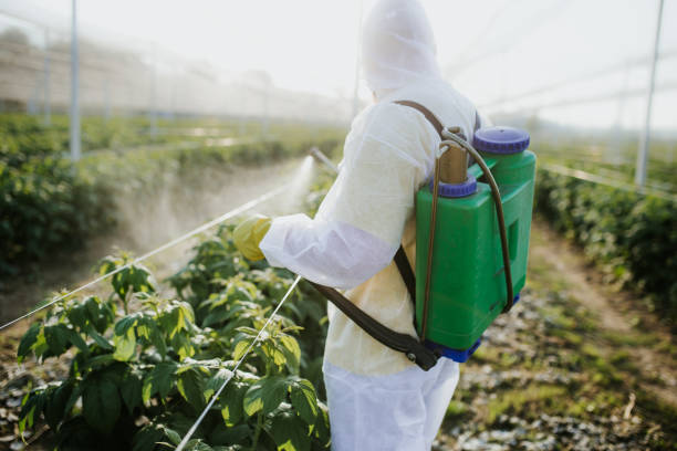 Best Local Pest Control Services  in Ashland, NJ